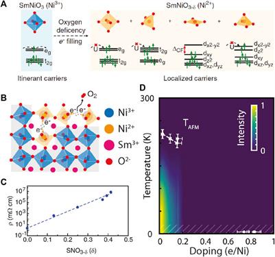 Carrier Doping Physics of Rare Earth Perovskite Nickelates RENiO3